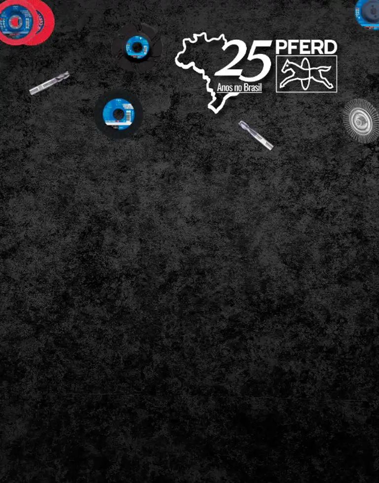 Comemore <span class="text-underline">25 anos</span> de PFERD TOOLS no Brasil conosco!