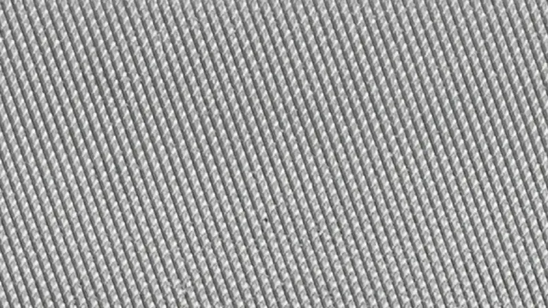 Swiss cut 1 - Medium